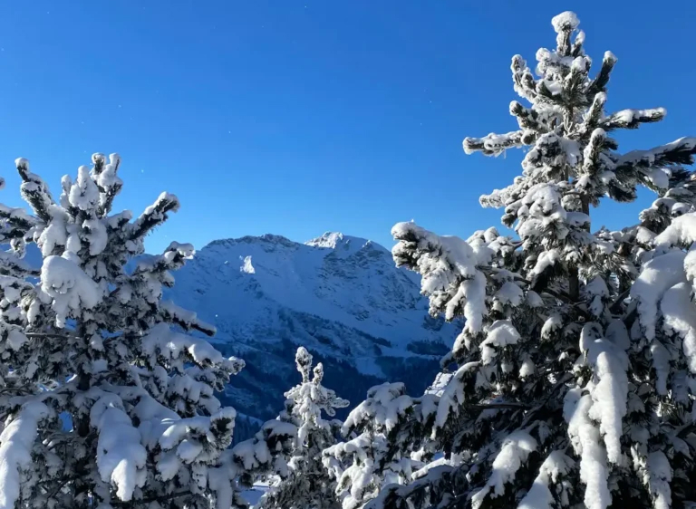 Resort Avoriaz 1 768x1024 1